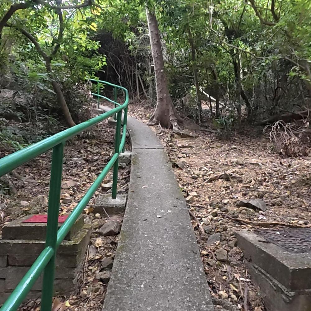 赤柱〜淺水灣〜紫羅蘭山〜跑馬地の写真3