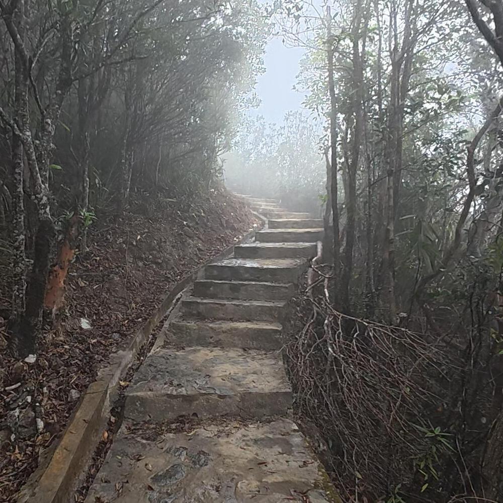 赤柱〜淺水灣〜紫羅蘭山〜跑馬地の写真5