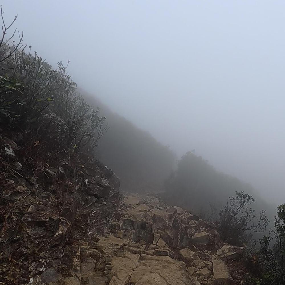 赤柱〜淺水灣〜紫羅蘭山〜跑馬地の写真6