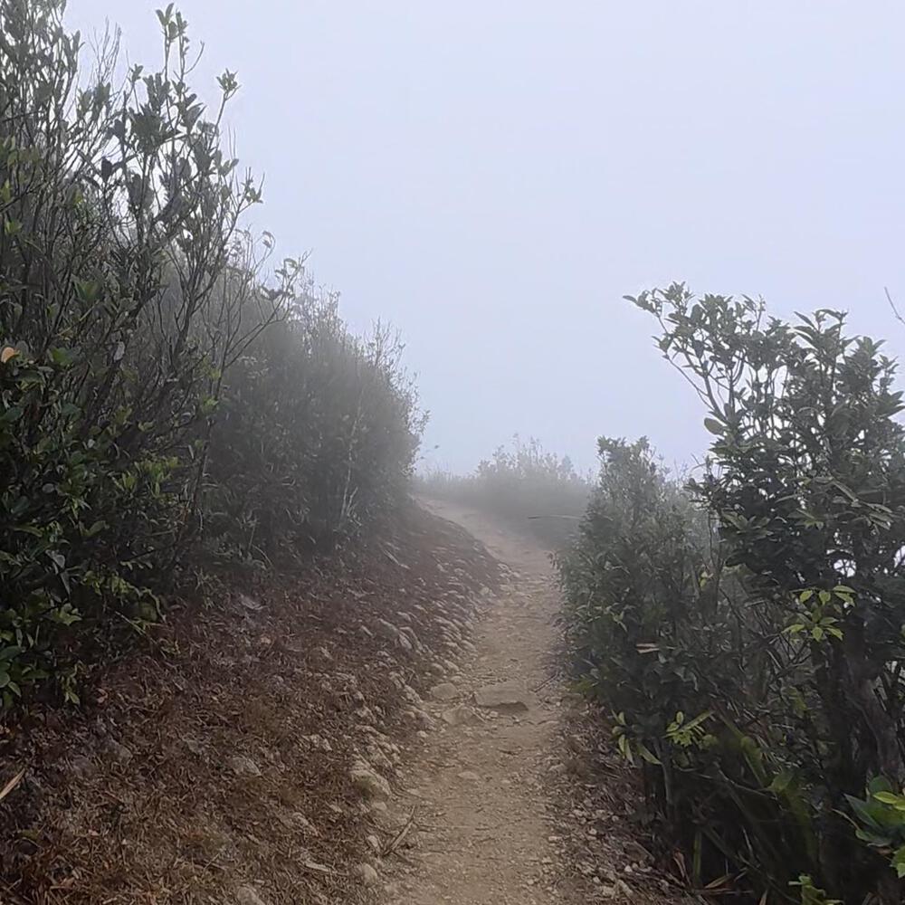 赤柱〜淺水灣〜紫羅蘭山〜跑馬地の写真7