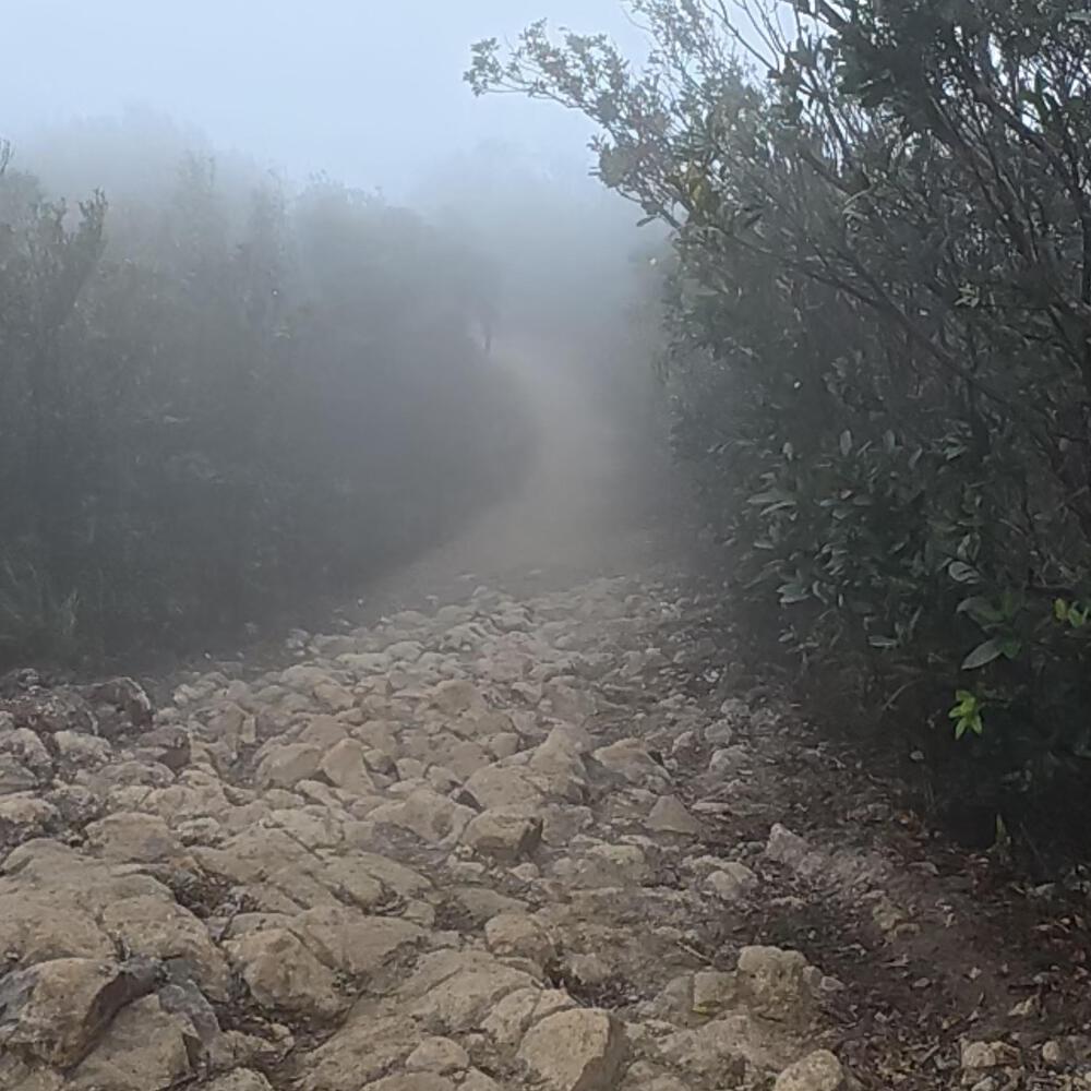 赤柱〜淺水灣〜紫羅蘭山〜跑馬地の写真8