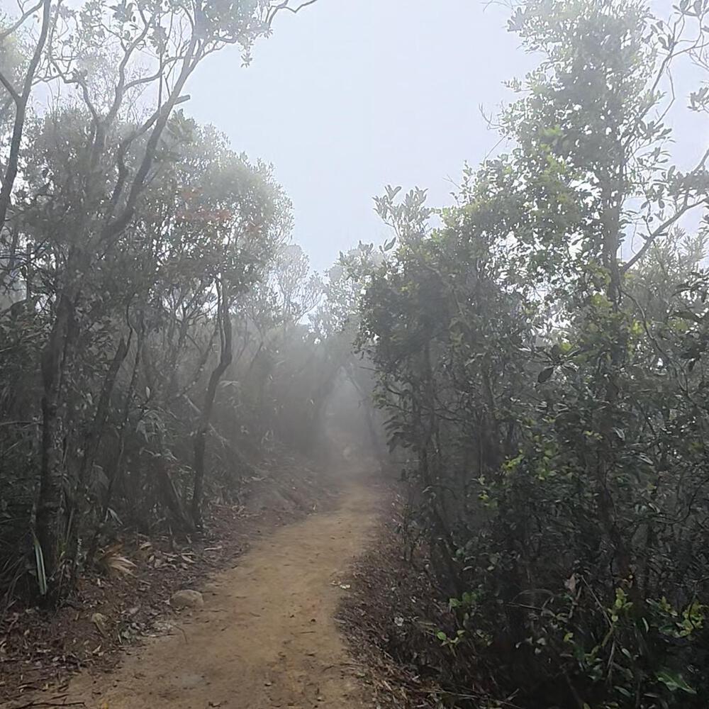赤柱〜淺水灣〜紫羅蘭山〜跑馬地の写真10