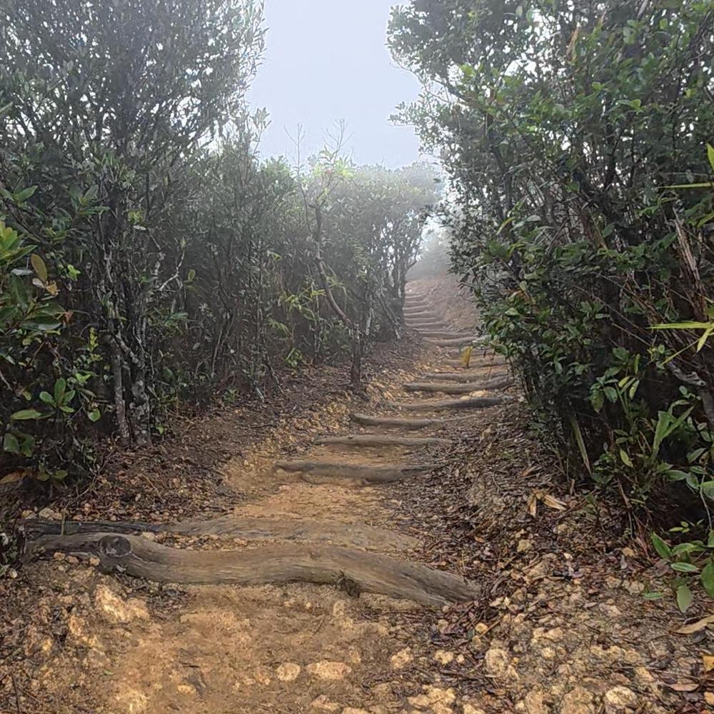 赤柱〜淺水灣〜紫羅蘭山〜跑馬地の写真11