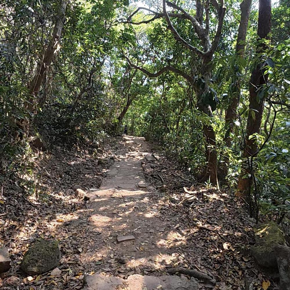 龍脊〜大浪灣〜石澳の写真10