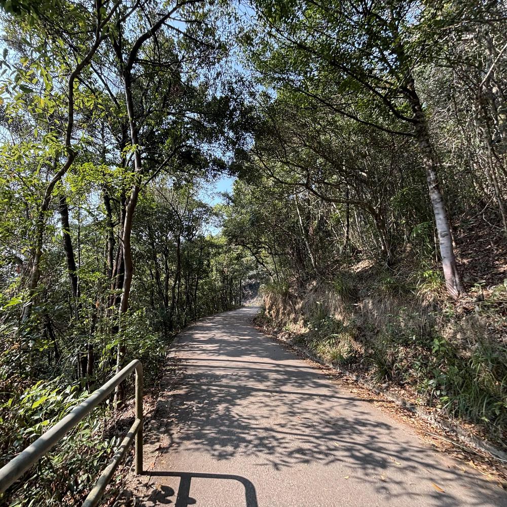 香港仔水塘の写真3