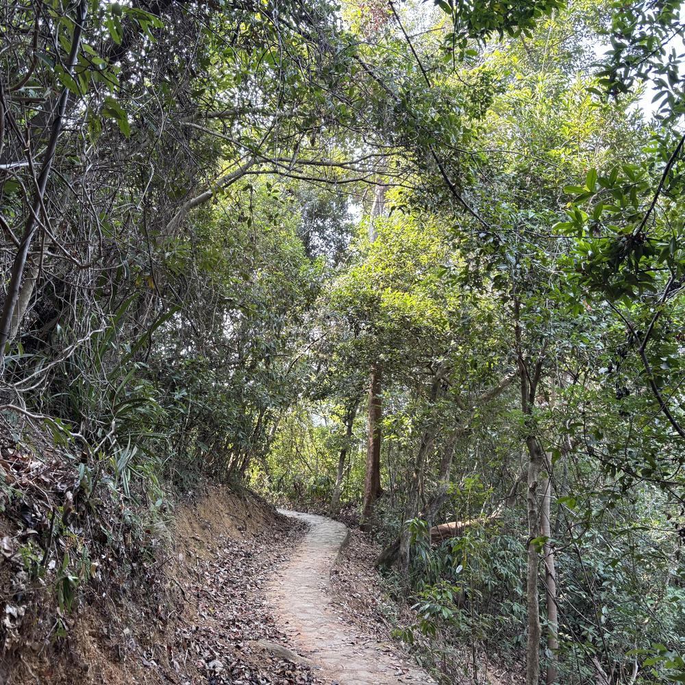 香港仔水塘の写真6