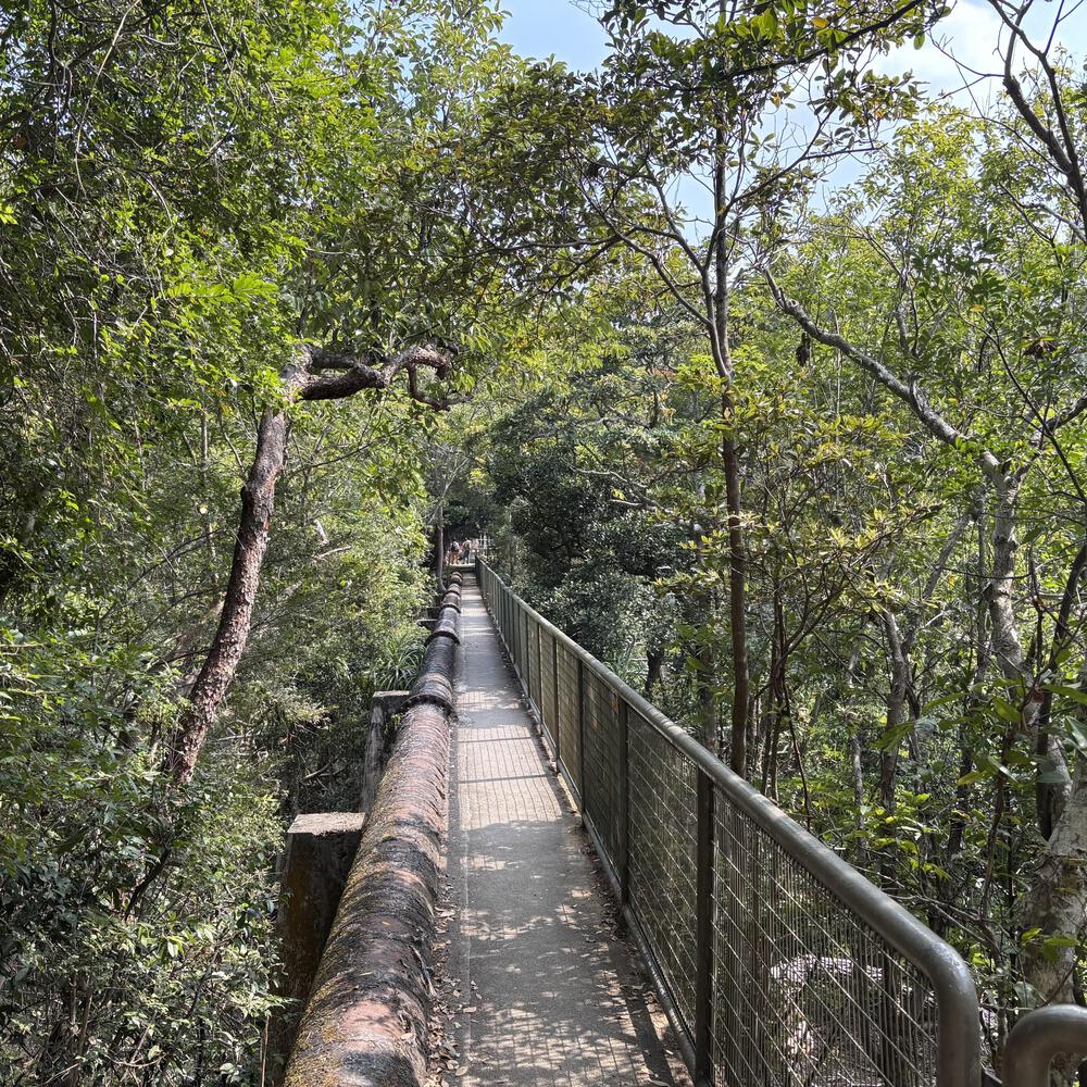 香港仔水塘の写真9