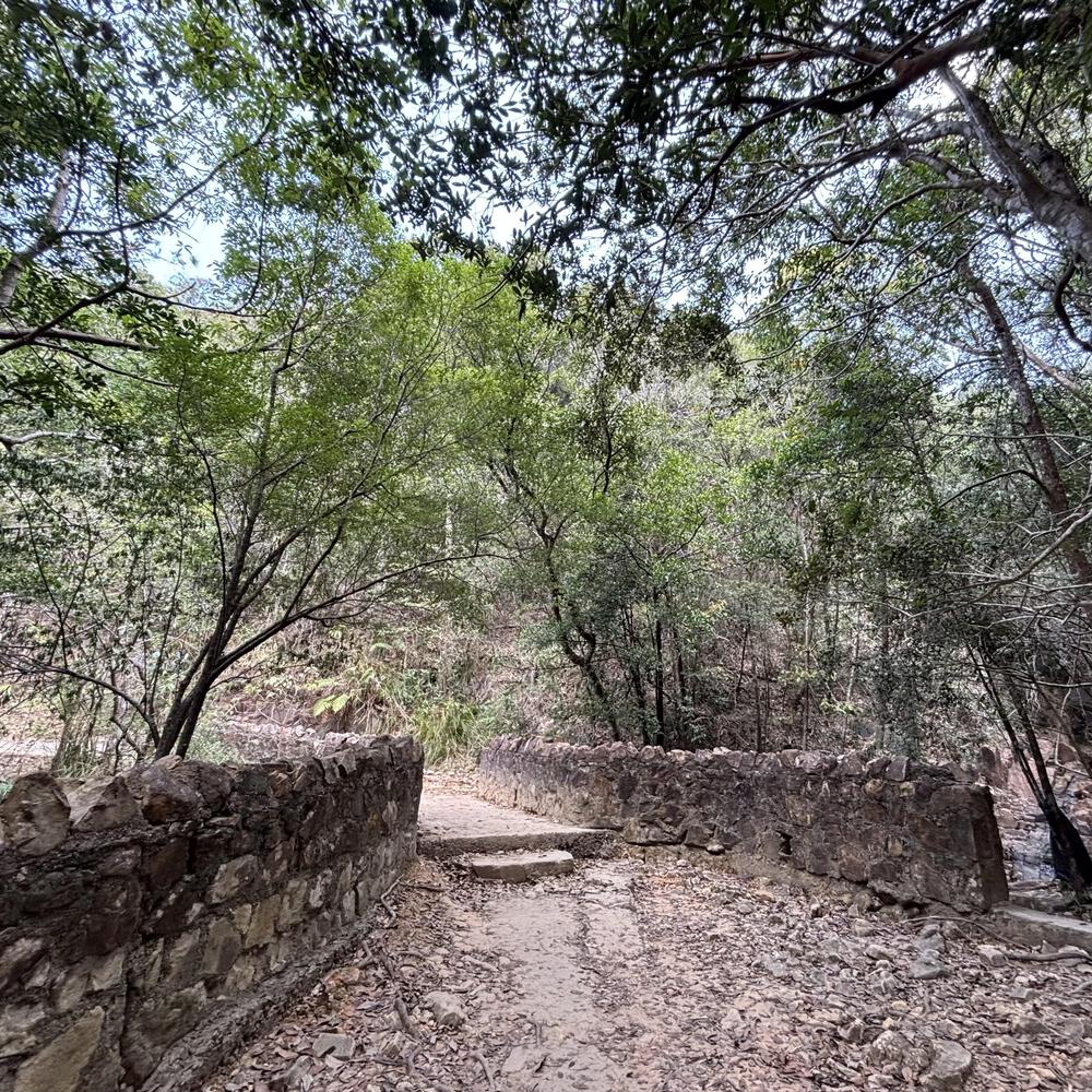 香港仔水塘の写真14