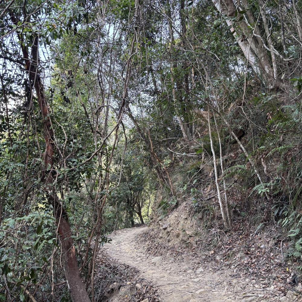 香港仔水塘の写真15