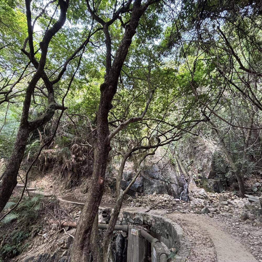 香港仔水塘の写真16