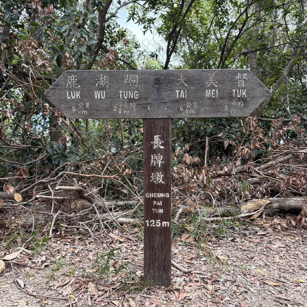 船灣淡水湖の写真3