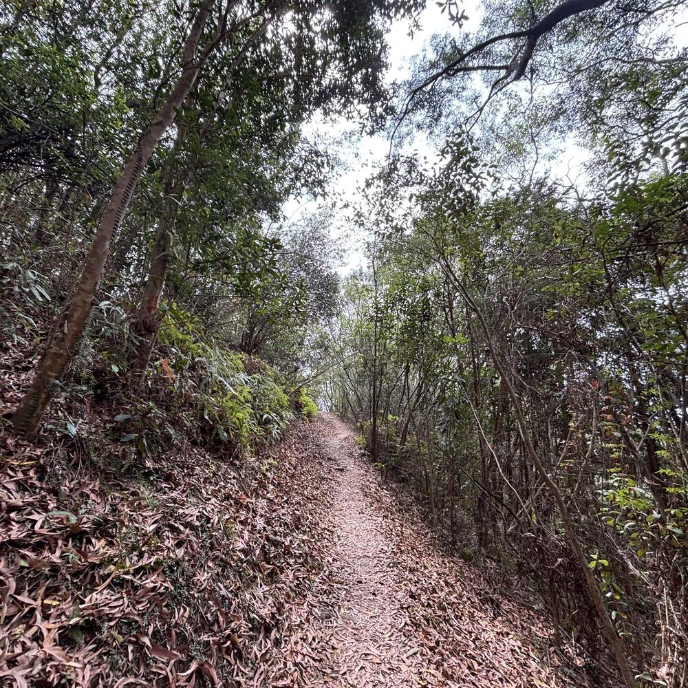 船灣淡水湖の写真5