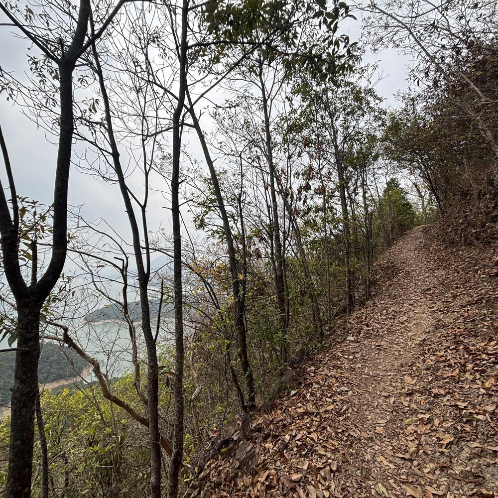 船灣淡水湖の写真7