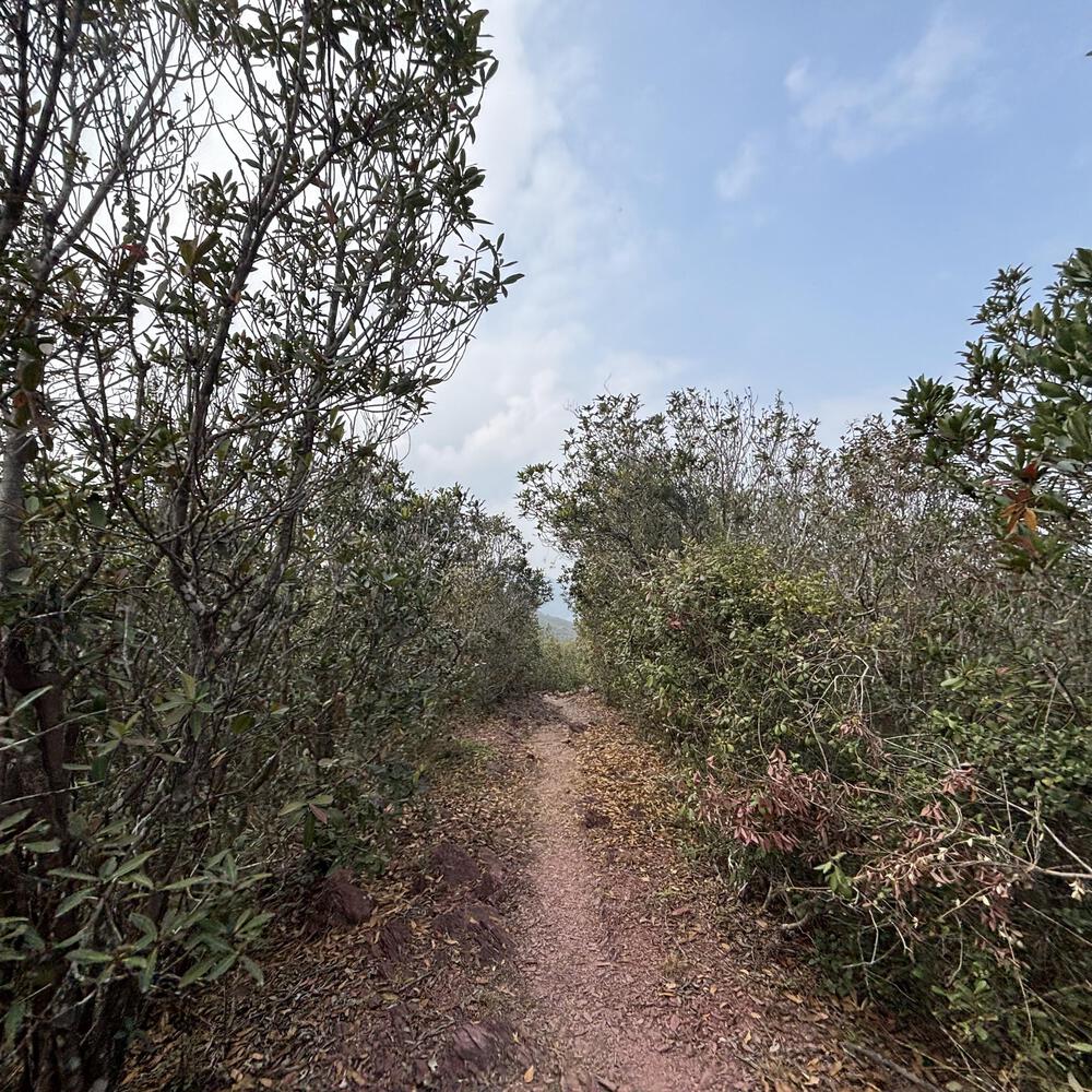 船灣淡水湖の写真12