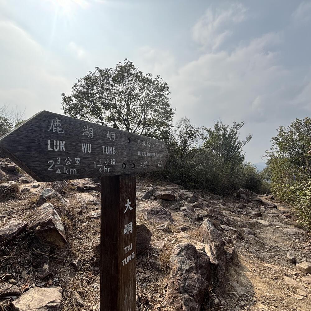 船灣淡水湖の写真15