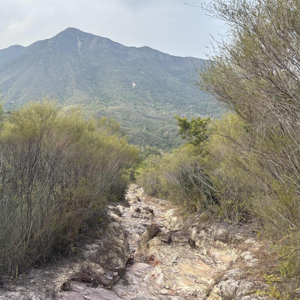 船灣淡水湖の写真16