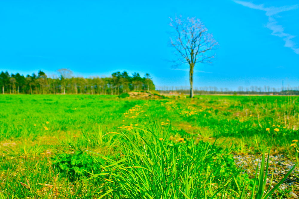 北海道・千歳の素晴らしい素顔の写真3