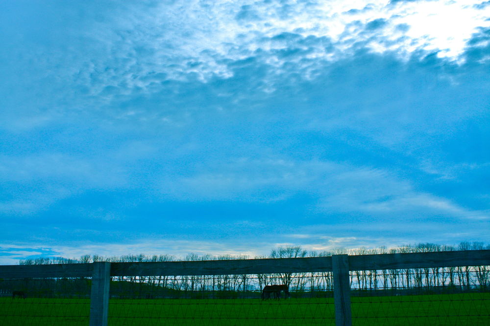 北海道・千歳の素晴らしい素顔の写真9