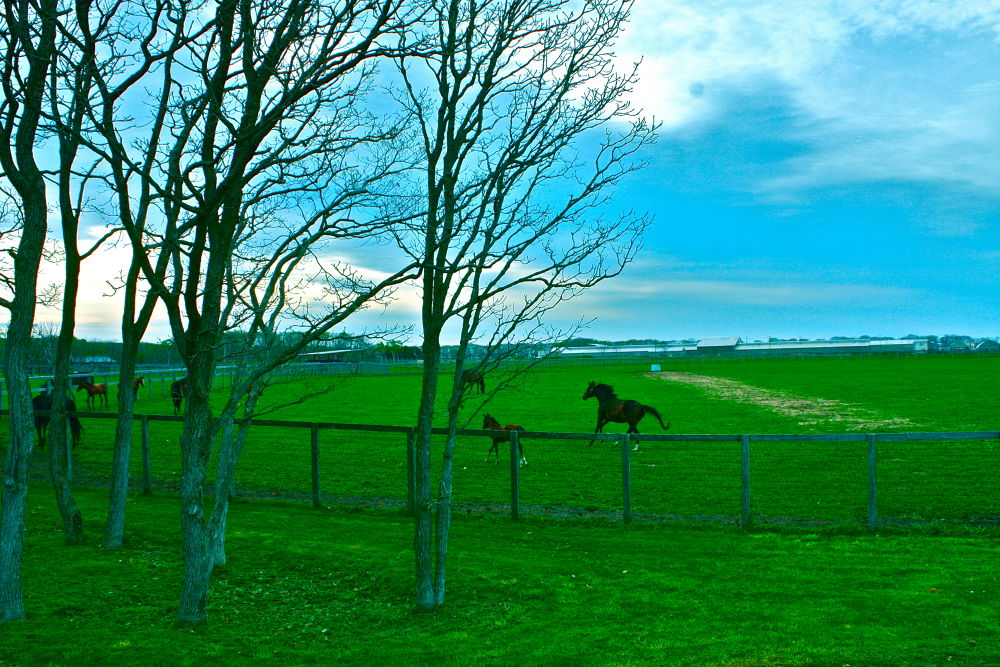 北海道・千歳の素晴らしい素顔の写真10