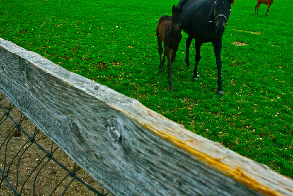 北海道・千歳の素晴らしい素顔の写真11