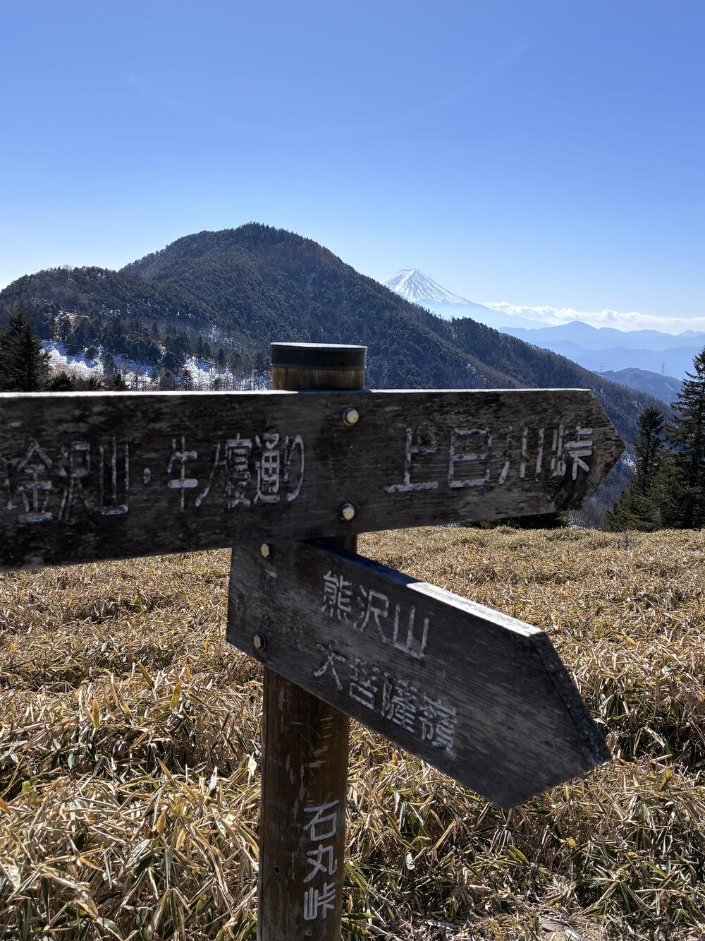 小菅村から大菩薩峠 広葉樹の歩きやすいトレイルの写真3