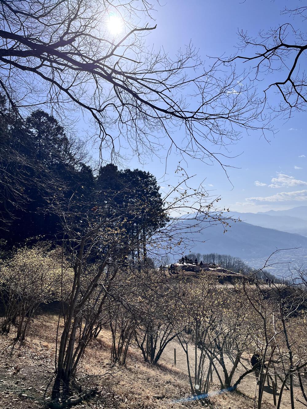 のんびり春トレイル🌼宝登山⛰️の写真6