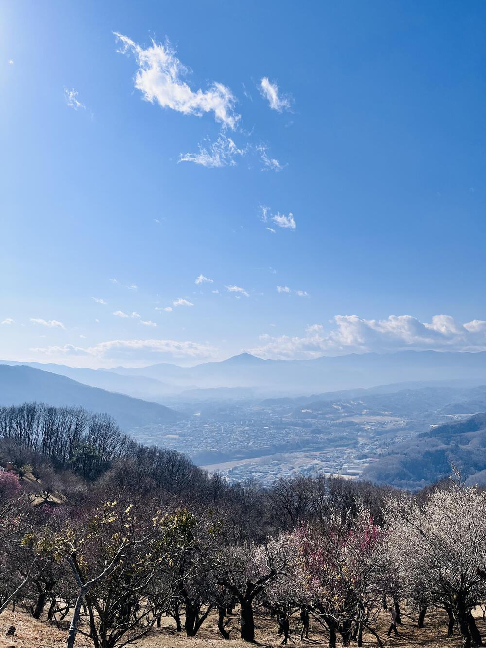 のんびり春トレイル🌼宝登山⛰️の写真8