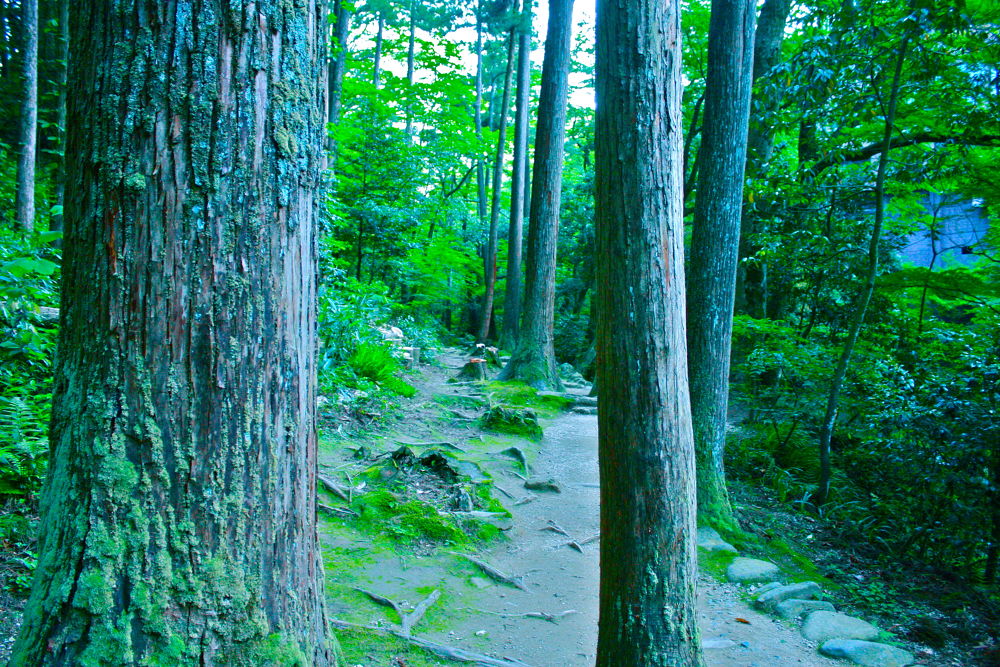 加賀・山中温泉で爽快リフレッシュランの写真4