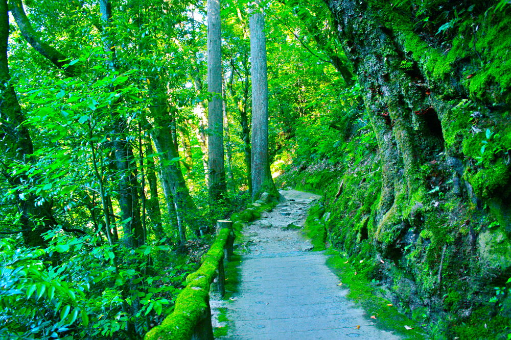 加賀・山中温泉で爽快リフレッシュランの写真5