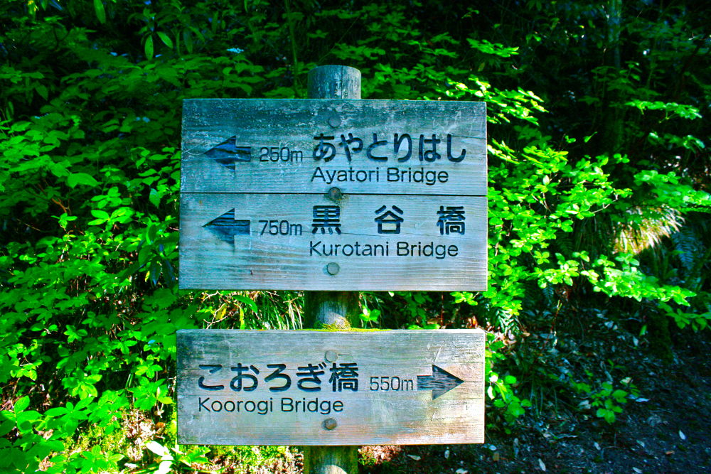 加賀・山中温泉で爽快リフレッシュランの写真7