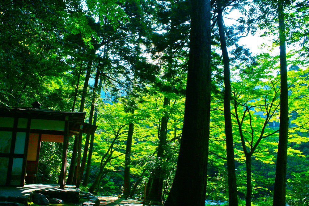 加賀・山中温泉で爽快リフレッシュランの写真8