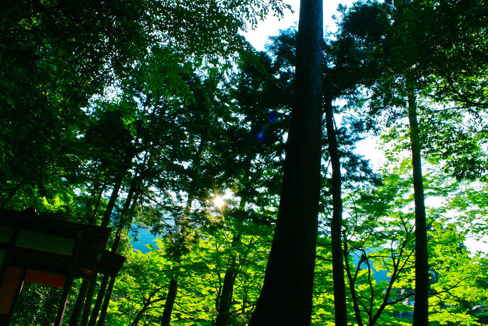 加賀・山中温泉で爽快リフレッシュランの写真9