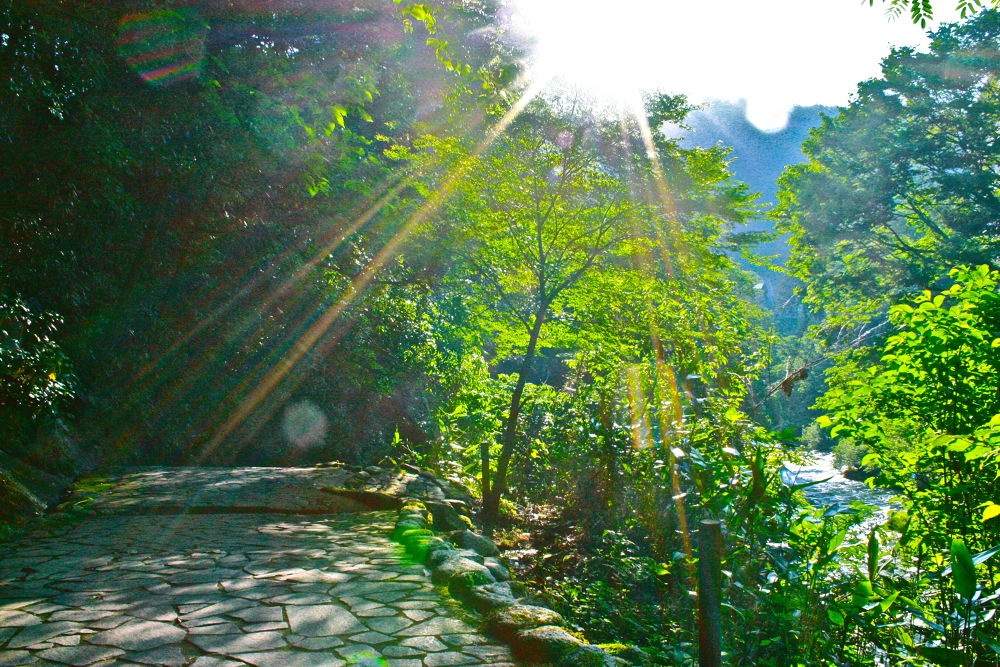 加賀・山中温泉で爽快リフレッシュランの写真10