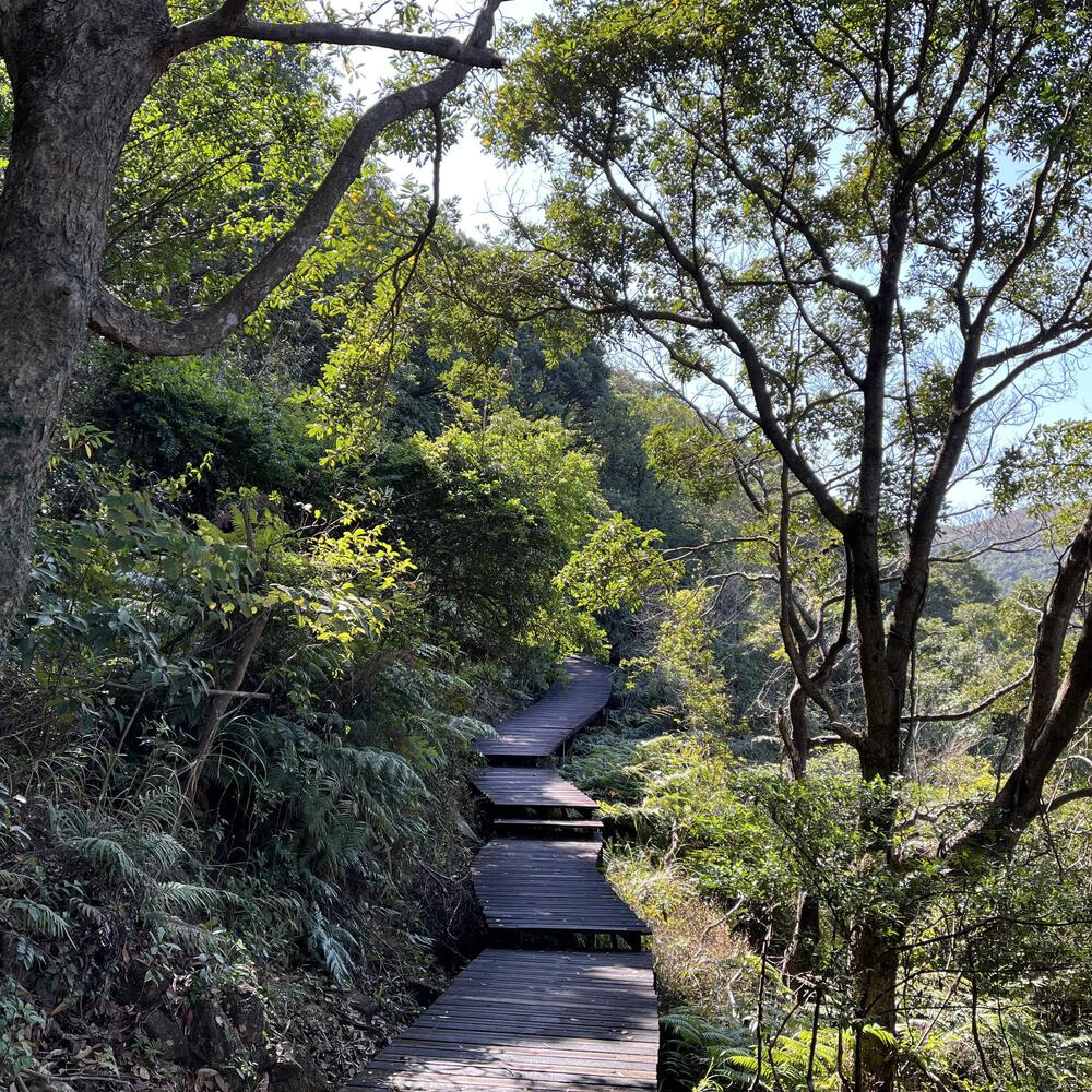 東涌〜昂坪 天壇大佛に会いに行くの写真4