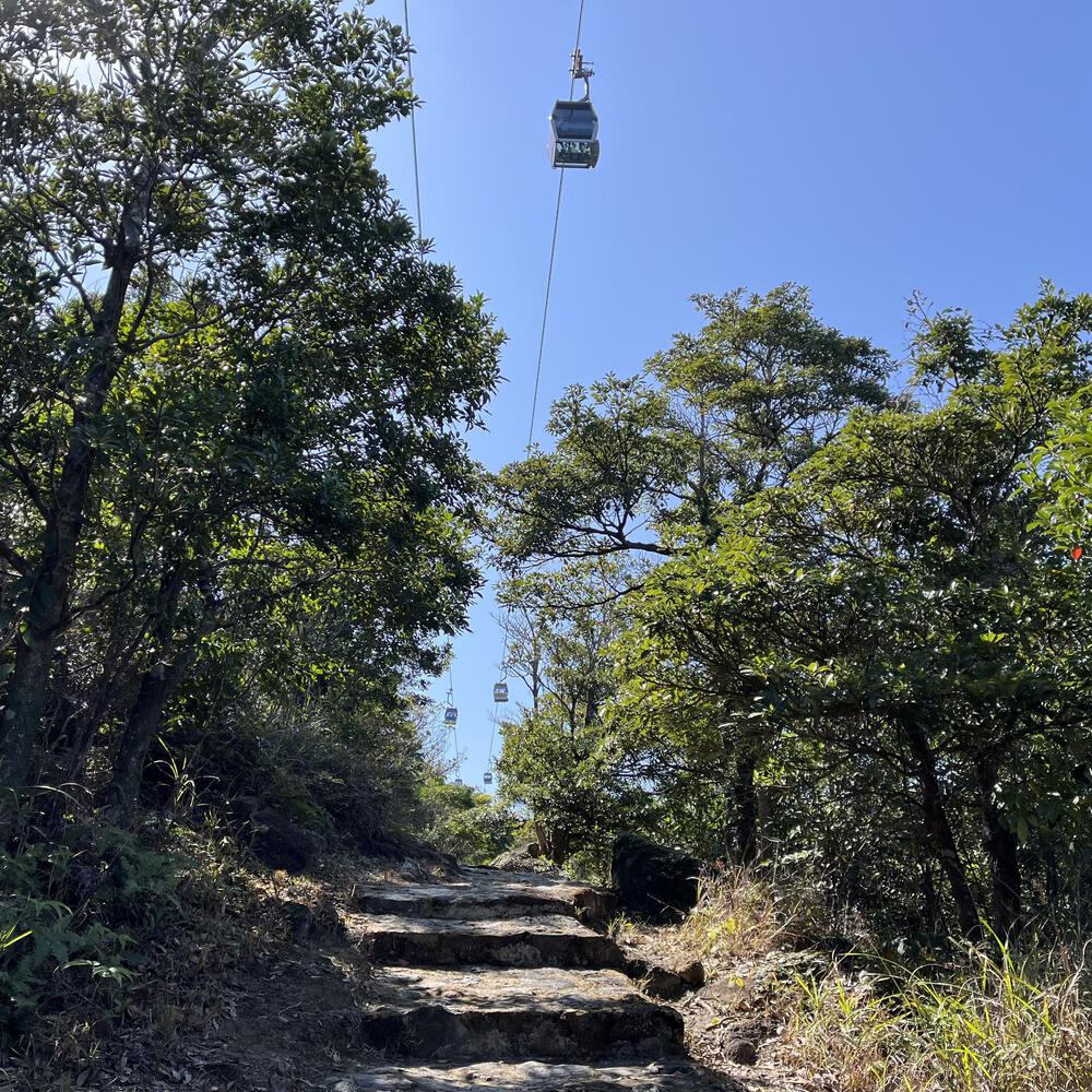 東涌〜昂坪 天壇大佛に会いに行くの写真5