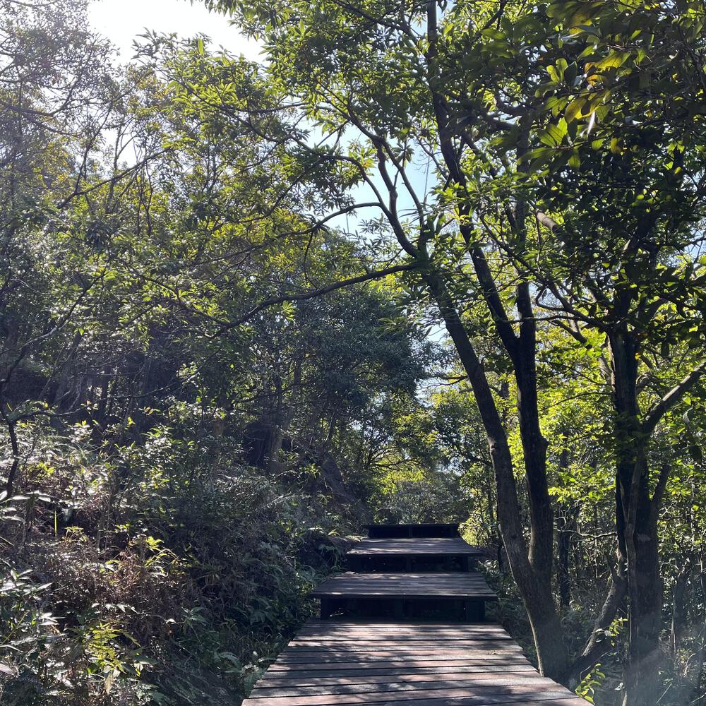 東涌〜昂坪 天壇大佛に会いに行くの写真6