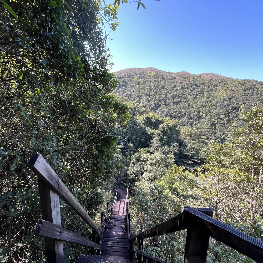 東涌〜昂坪 天壇大佛に会いに行くの写真7