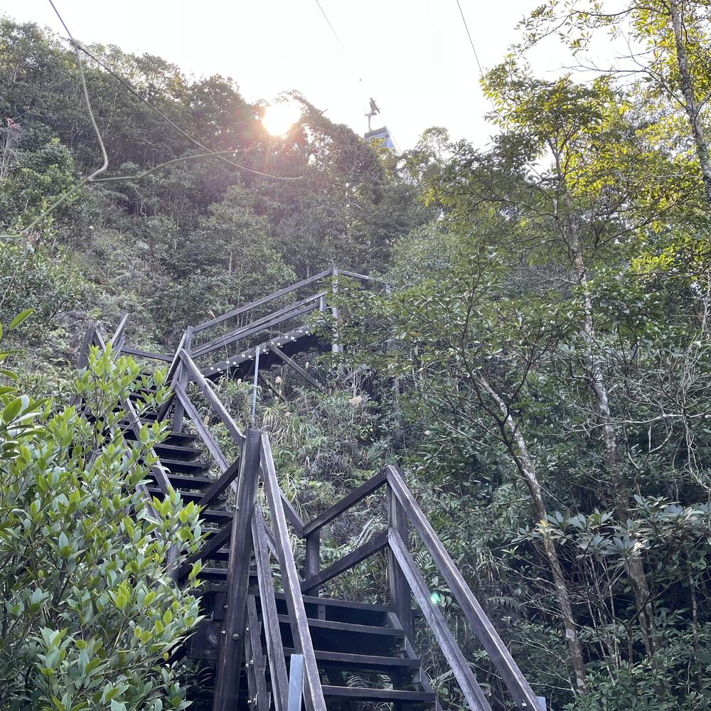 東涌〜昂坪 天壇大佛に会いに行くの写真8