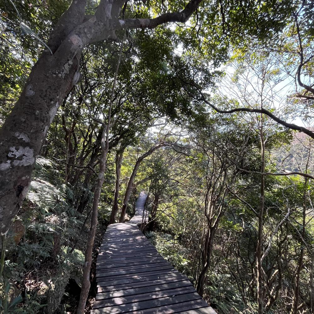 東涌〜昂坪 天壇大佛に会いに行くの写真9