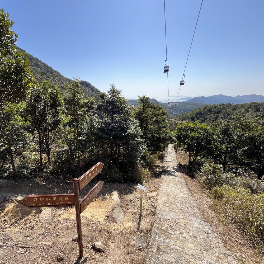 東涌〜昂坪 天壇大佛に会いに行くの写真12
