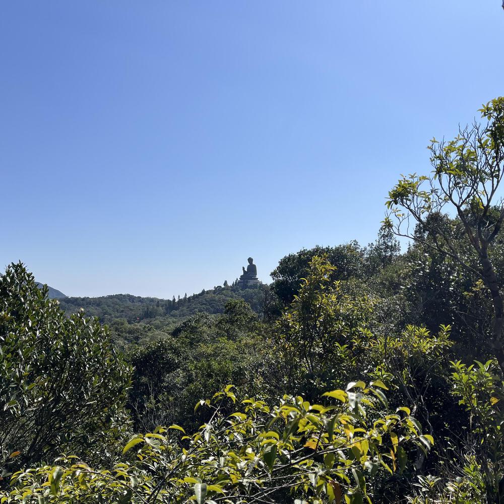 東涌〜昂坪 天壇大佛に会いに行くの写真15