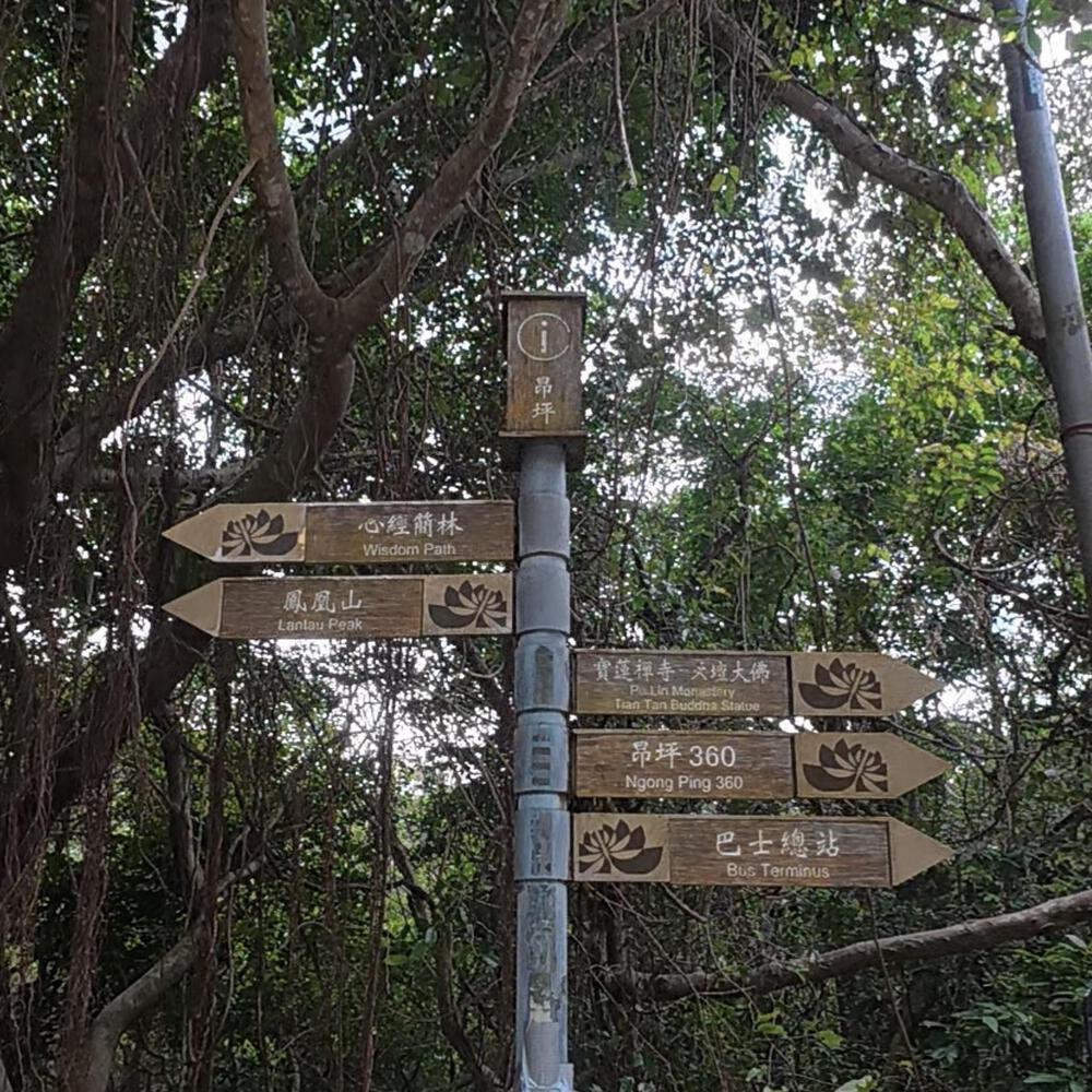 東涌〜昂坪 天壇大佛に会いに行くの写真19