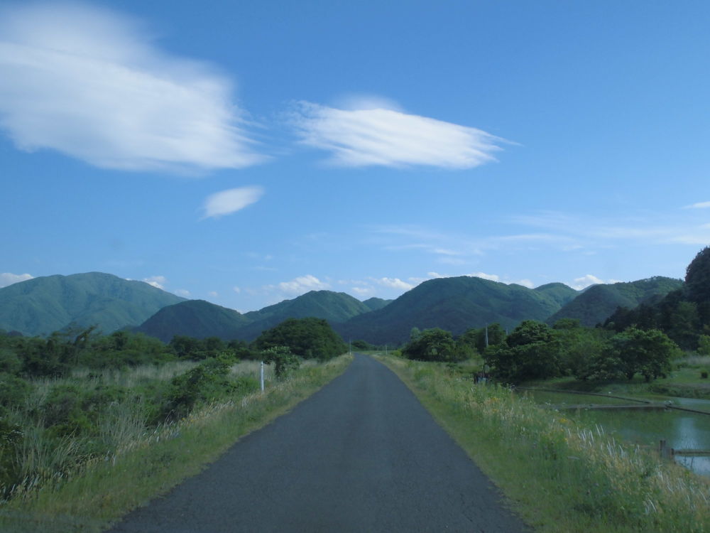 東北随一の山城跡、向羽黒山城跡を制覇の写真3