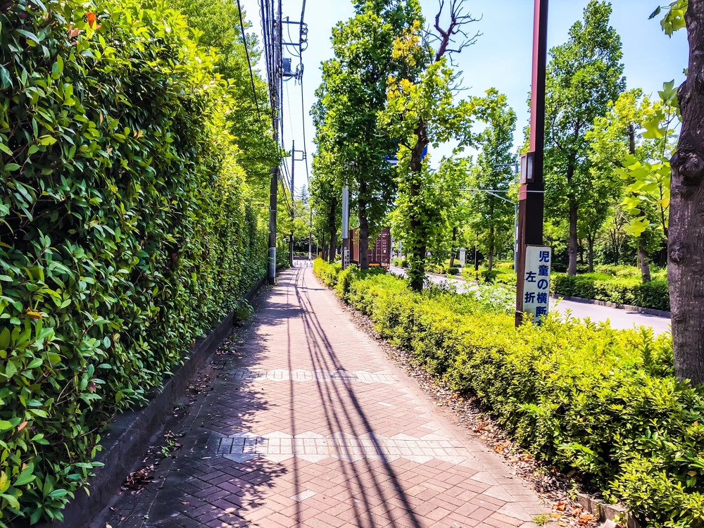 Runtrip 柏の葉の写真7