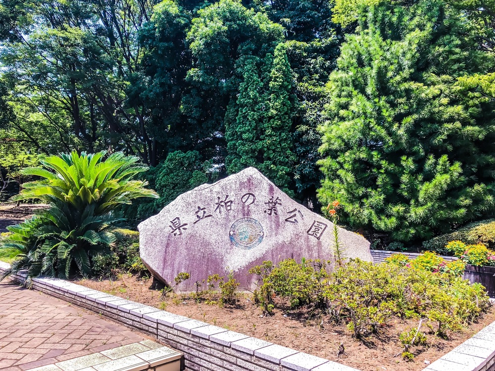 Runtrip 柏の葉の写真8