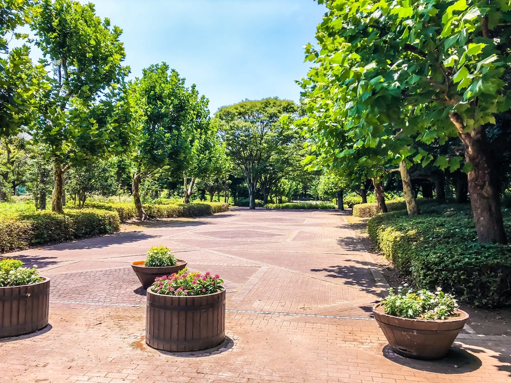 Runtrip 柏の葉の写真10