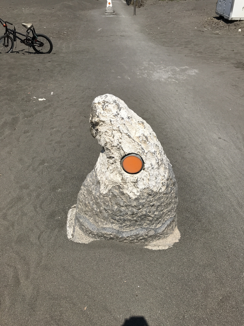 江の島to烏帽子岩往復10kmの写真4