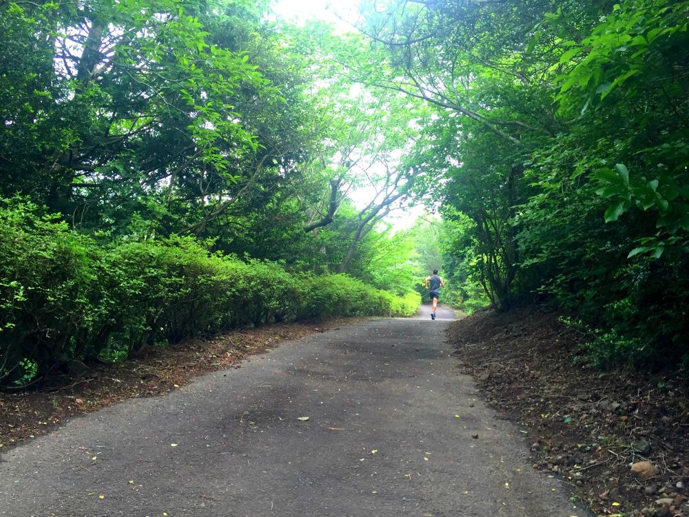 海を見下ろす熱海の絶景トレイル・姫の沢公園の写真3