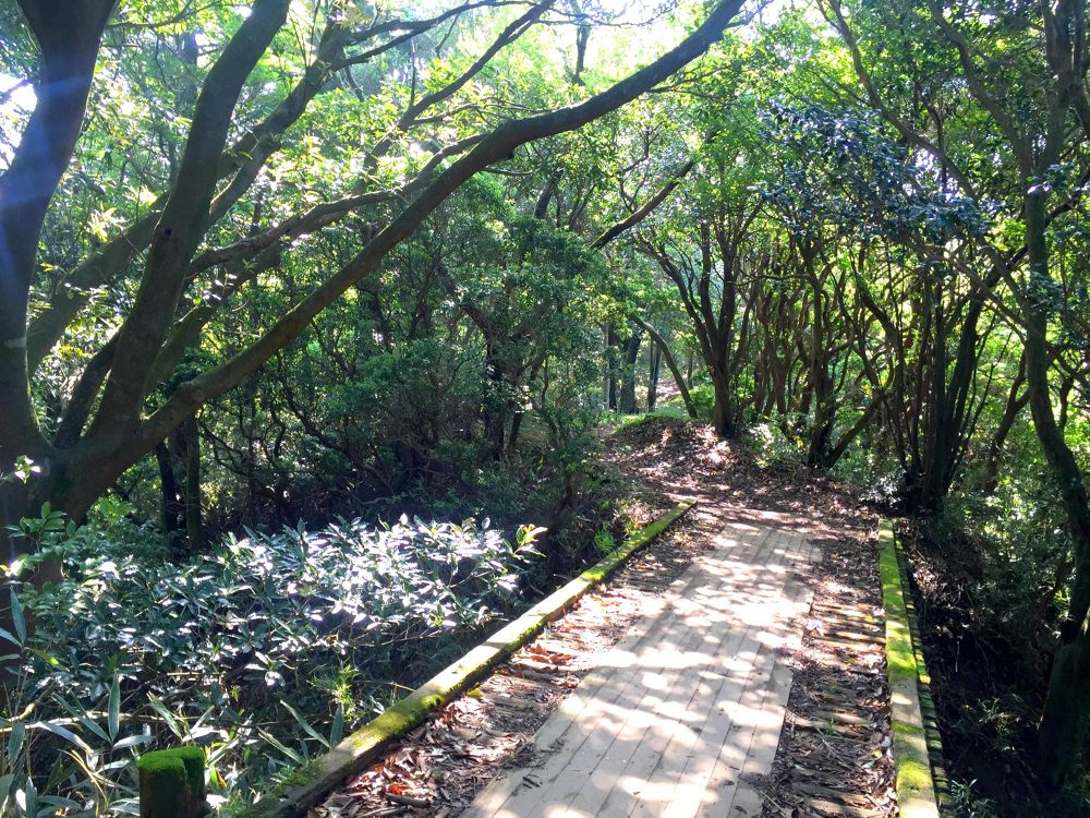 海を見下ろす熱海の絶景トレイル・姫の沢公園の写真4