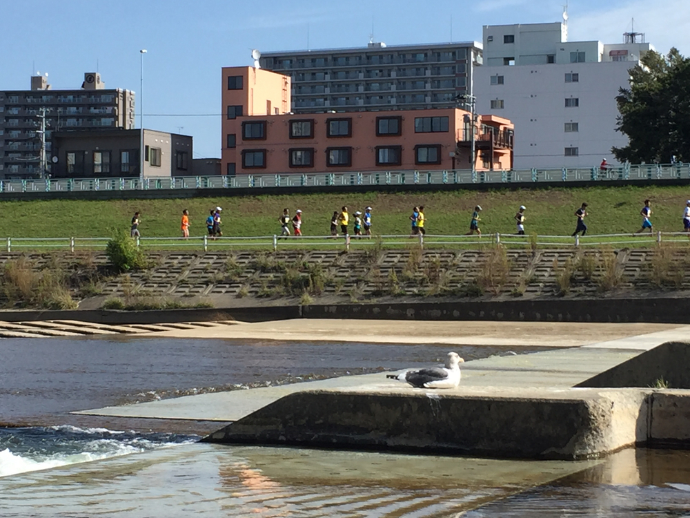 豊平川 水穂大橋〜ミュンヘン大橋周回 12kmの写真5